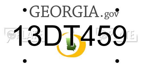 13DT459 Georgia License Plate