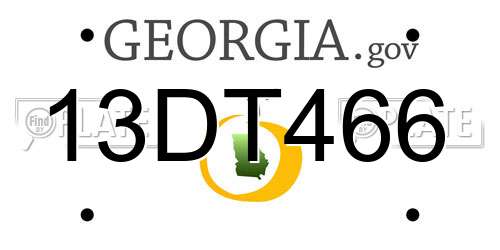 13DT466 Georgia License Plate