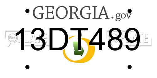 13DT489 Georgia License Plate
