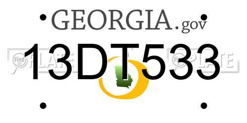 13DT533 Georgia License Plate