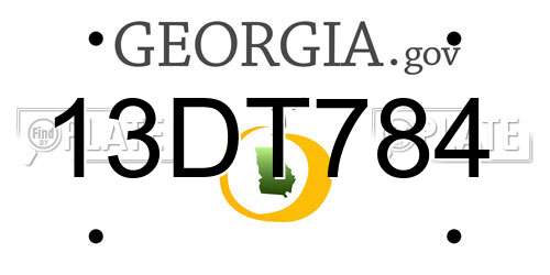 13DT784 Georgia License Plate
