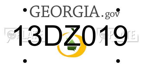 13DZ019 Georgia License Plate