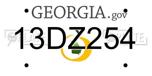 13DZ254 Georgia License Plate