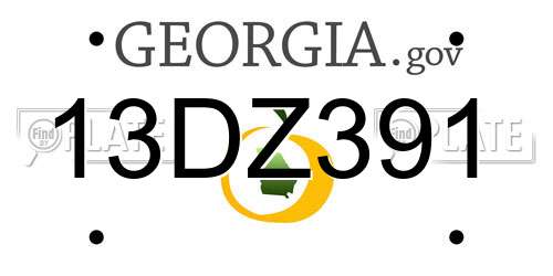 13DZ391 Georgia License Plate