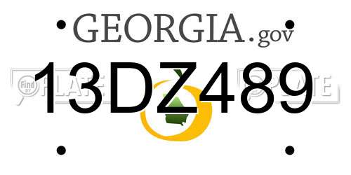 13DZ489 Georgia License Plate