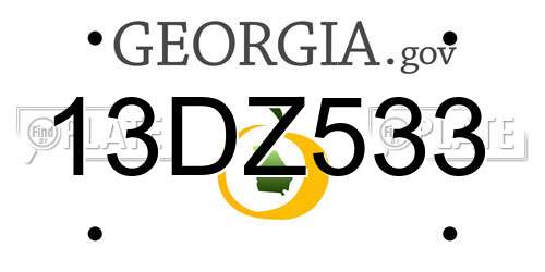 13DZ533 Georgia License Plate