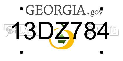 13DZ784 Georgia License Plate