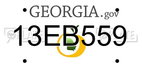 13EB559 Georgia License Plate