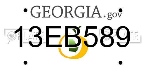 13EB589 Georgia License Plate