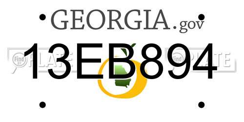 13EB894 Georgia License Plate