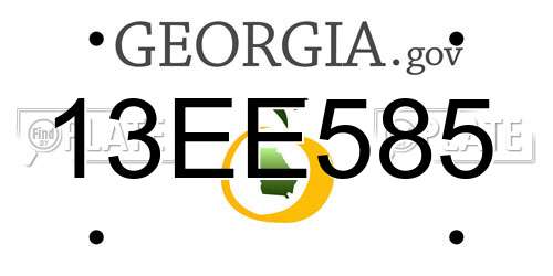 13EE585 Georgia License Plate