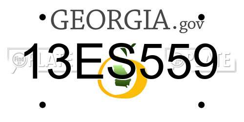 13ES559 Georgia License Plate