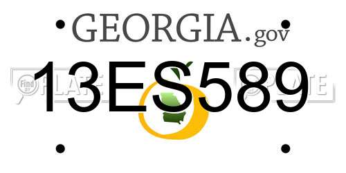 13ES589 Georgia License Plate