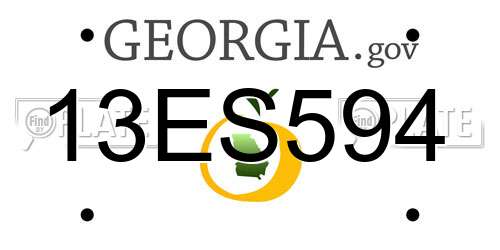 13ES594 Georgia License Plate