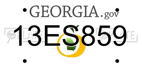 13ES859 Georgia License Plate