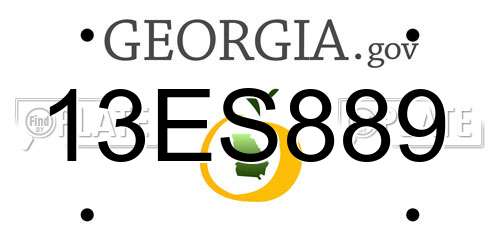 13ES889 Georgia License Plate