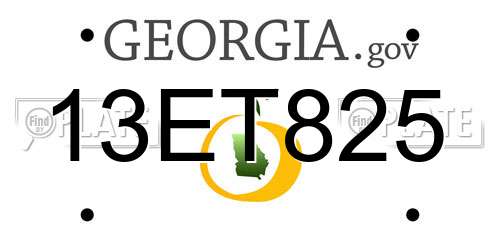 13ET825 Georgia License Plate