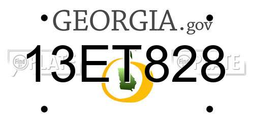 13ET828 Georgia License Plate