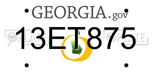13ET875 Georgia License Plate