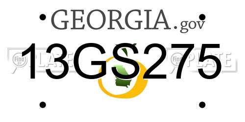 13GS275 Georgia License Plate