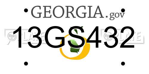 13GS432 Georgia License Plate