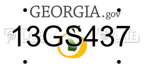 13GS437 Georgia License Plate