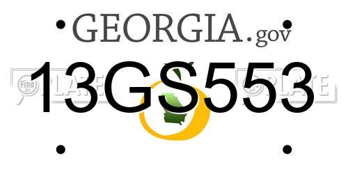 13GS553 Georgia License Plate