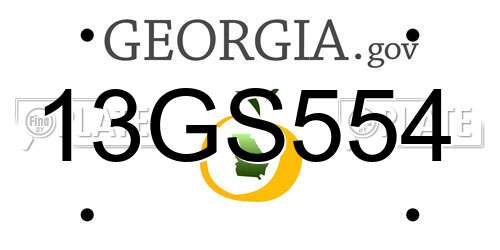 13GS554 Georgia License Plate
