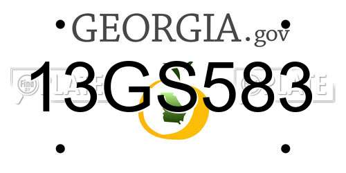 13GS583 Georgia License Plate