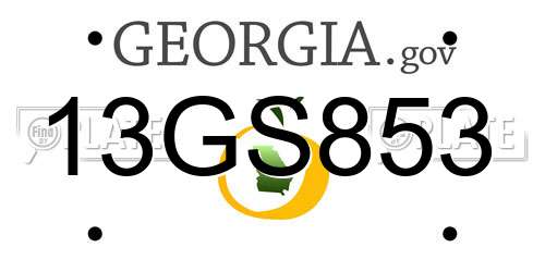 13GS853 Georgia License Plate