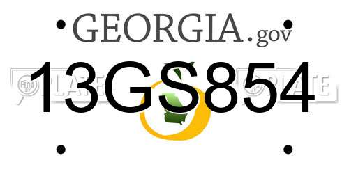 13GS854 Georgia License Plate
