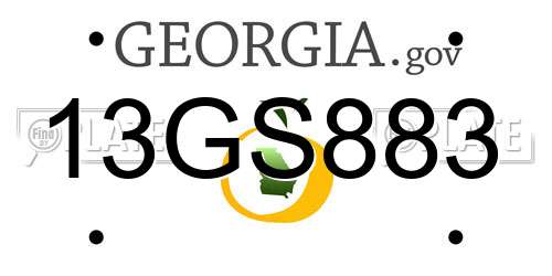 13GS883 Georgia License Plate