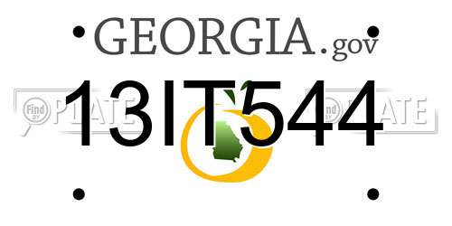 13IT544 Georgia License Plate