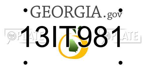 13IT981 Georgia License Plate