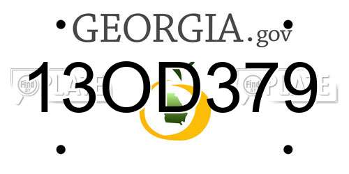 13OD379 Georgia License Plate