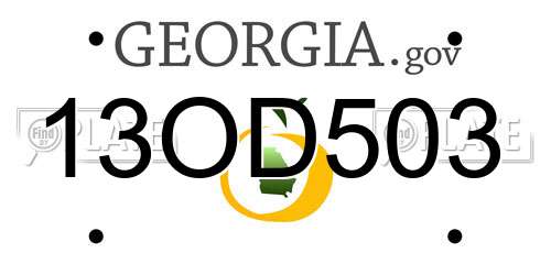 13OD503 Georgia License Plate