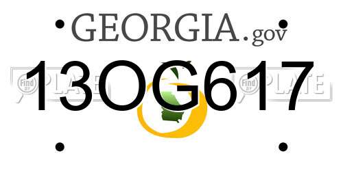 13OG617 Georgia License Plate