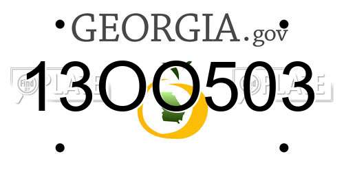13OO503 Georgia License Plate