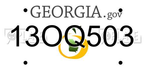 13OQ503 Georgia License Plate