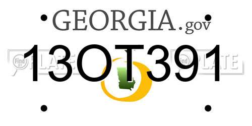 13OT391 Georgia License Plate