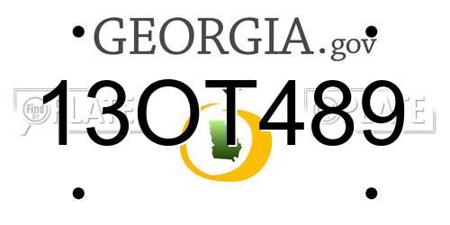13OT489 Georgia License Plate