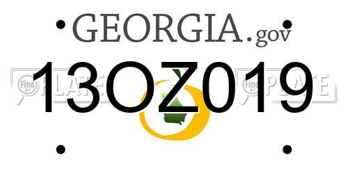 13OZ019 Georgia License Plate
