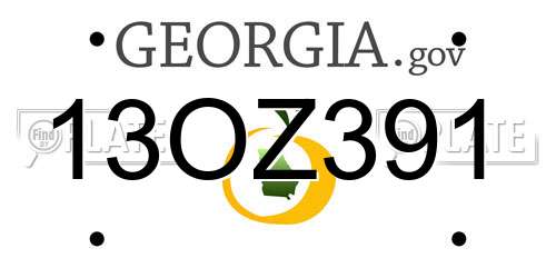 13OZ391 Georgia License Plate