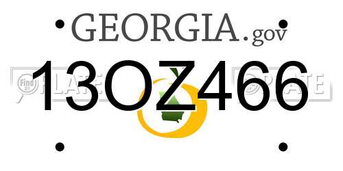 13OZ466 Georgia License Plate