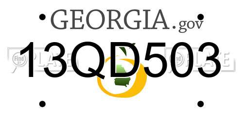 13QD503 Georgia License Plate