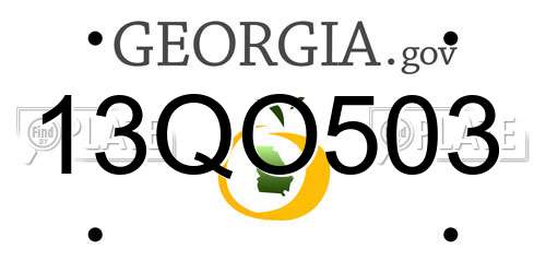 13QO503 Georgia License Plate