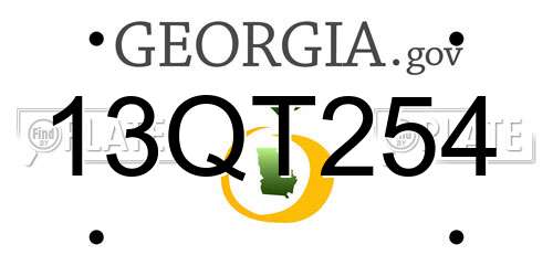 13QT254 Georgia License Plate