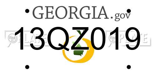 13QZ019 Georgia License Plate