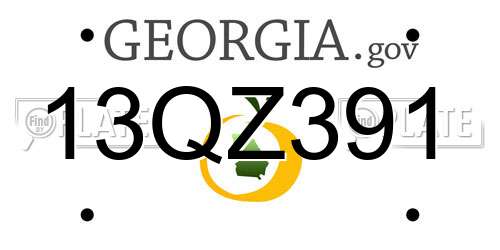 13QZ391 Georgia License Plate