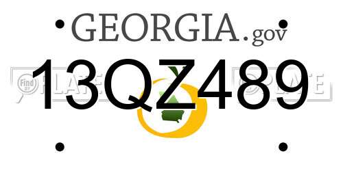 13QZ489 Georgia License Plate